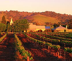 Barossa Valley